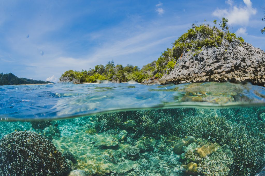 Coral Reefs Surface and Island shot from underwater drone